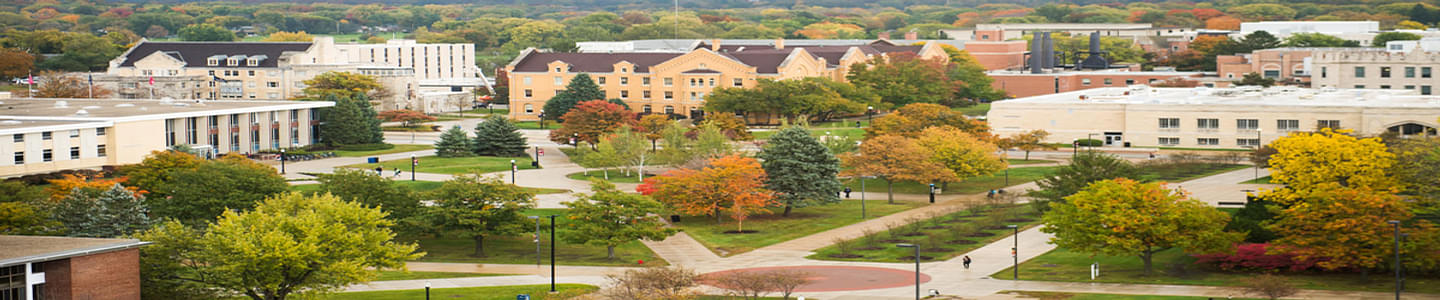Northern Illinois University banner
